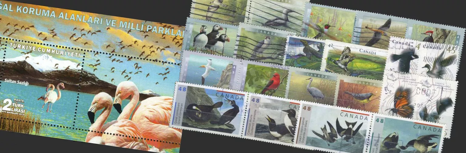 Postage Stamps At Wholesale & Bulk Pricing - Cheap Shipping On All Orders